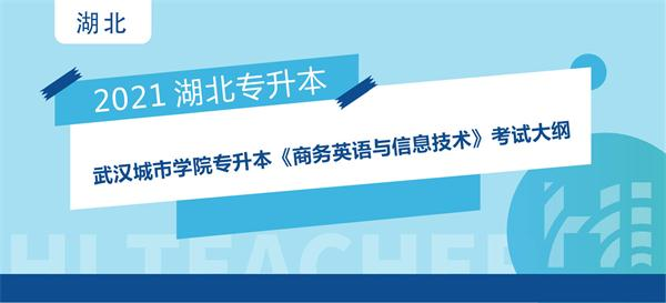 2021年武汉城市学院专升本《商务英语与信息技术》考试大纲