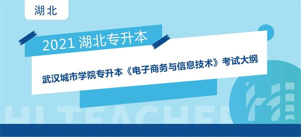 2021年武汉城市学院专升本《电子商务与信息技术》考试大纲