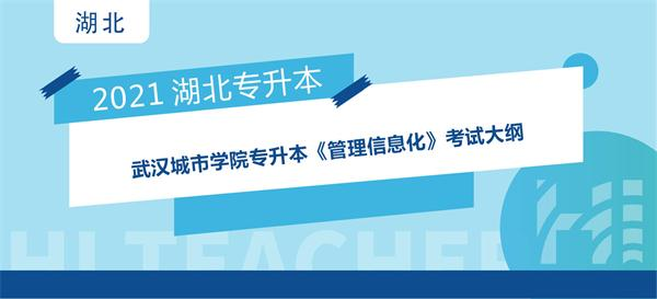 2021年武汉城市学院专升本《管理信息化》考试大纲